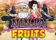 Ninja Fruits (Ниндзя Фрукты)