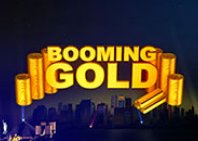 Booming Gold (Бумерское золото)