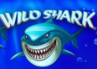 Wild Shark (Дикая акула)