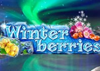 Winterberries (Зимние Ягоды)